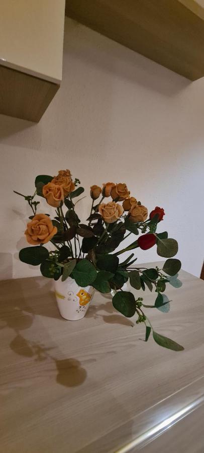 シニスコーラKolbe'S Houseアパートメント エクステリア 写真